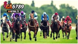 Cách cá cược đua ngựa hiệu quả