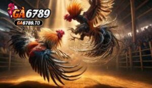 Đá Gà Trực Tiếp Ga6789 Là Gì?