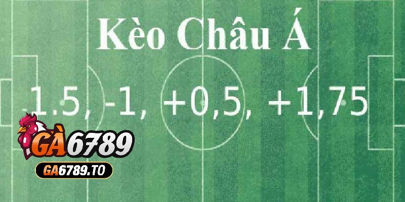Soi Kèo Châu Á – Hướng Dẫn Chi Tiết Dành Cho Người Mới Bắt Đầu 2 Soi kèo Châu Á có những tỷ lệ nào?