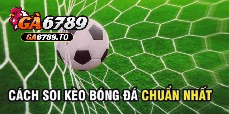 Soi Kèo Châu Á – Hướng Dẫn Chi Tiết Dành Cho Người Mới Bắt Đầu 3 Soi kèo châu Á với kèo chấp nửa một